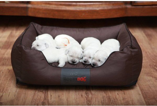 Hobbydog gulta Comfort, XXL, brūna cena un informācija | Suņu gultas, spilveni, būdas | 220.lv