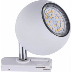 TK Lighting griestu sliedes gaismeklis Tracer cena un informācija | Iebūvējamās lampas, LED paneļi | 220.lv