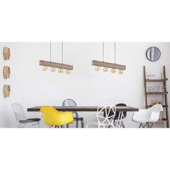 TK Lighting griestu lampa Artwood 2666 cena un informācija | Piekaramās lampas | 220.lv