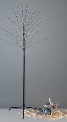 DecoKing светящийся Рождественский декор Lucky, 320 LED цена и информация | Рождественские украшения | 220.lv