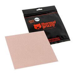 Thermal Grizzly Minus Pad 8 100 x 100 x 0.5 mm (TG-MP8-100-100-05-1R) цена и информация | Аксессуары для компонентов | 220.lv