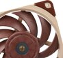 Noctua NF-A12x25 ULN cena un informācija | Datora ventilatori | 220.lv