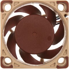 Noctua NF-A4x20 5V цена и информация | Компьютерные вентиляторы | 220.lv