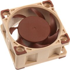 Noctua NF-A4x20 5V цена и информация | Компьютерные вентиляторы | 220.lv