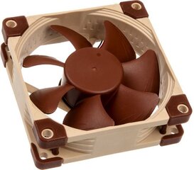 Noctua NF-A8 5V цена и информация | Компьютерные вентиляторы | 220.lv