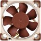 Noctua NF-A4x10 FLX ventilators цена и информация | Datora ventilatori | 220.lv