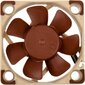 Noctua NF-A4x10 PWM ventilators cena un informācija | Datora ventilatori | 220.lv