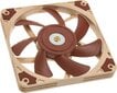 Noctua NF-A12x15 PWM цена и информация | Datora ventilatori | 220.lv