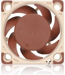 Noctua NF-A4x20 FLX cena un informācija | Datora ventilatori | 220.lv