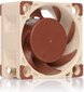 Noctua NF-A4x20 PWM цена и информация | Datora ventilatori | 220.lv