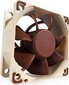 Noctua NF-A6x25-PWM ventilators cena un informācija | Datora ventilatori | 220.lv