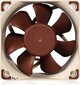 Noctua NF-A6x25-PWM ventilators cena un informācija | Datora ventilatori | 220.lv