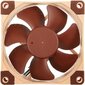 Noctua NF-A8 FLX ventilators cena un informācija | Datora ventilatori | 220.lv