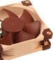 Noctua NF-A8 PWM ventilators цена и информация | Datora ventilatori | 220.lv