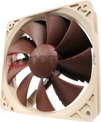 Noctua NF-P12-PWM ventilators цена и информация | Компьютерные вентиляторы | 220.lv