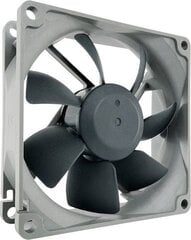 Noctua NF-R8 Redux-1800 ventilators cena un informācija | Datora ventilatori | 220.lv