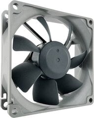 Noctua NF-R8 Redux-1800 PWM ventilators cena un informācija | Datora ventilatori | 220.lv