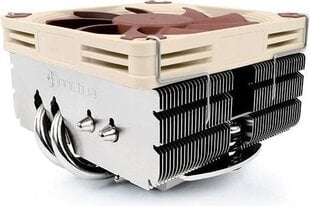 Noctua NH-L9x65 цена и информация | Кулеры для процессоров | 220.lv