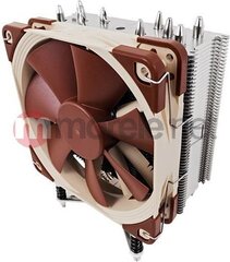 Кулер для процессора Noctua i4 для процессоров Intel Xeon LGA2011, 1356 и 1366 платформ (NH-U12DXi4) цена и информация | Кулеры для процессоров | 220.lv