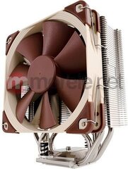 Noctua Premium CPU Cooler with NF-F12 120mm Fan Brown (NH-U12S) cena un informācija | Procesora dzesētāji | 220.lv