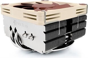 Noctua Premium-Grade Низкопрофильный процессорный кулер для AMD AM4 (NH-L9x65 SE-AM4) цена и информация | Кулеры для процессоров | 220.lv