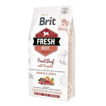 Brit Fresh Beef Puppy Large 12kg Kucēniem cena un informācija | Sausā barība suņiem | 220.lv