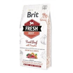 Brit Fresh Beef & Pumpkin Puppy Large Bones & Joints полноценный корм для собак 12 кг цена и информация |  Сухой корм для собак | 220.lv