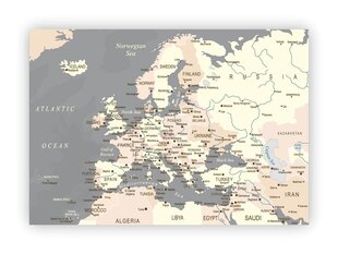 Korķa materiāla attēls - Eiropas karte. Pelēks [Korķa materiāla karte] cena un informācija | Gleznas | 220.lv