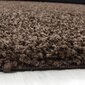 Ayyildiz paklājs LIFE brown, 60X110 cm цена и информация | Paklāji | 220.lv