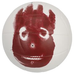 Волейбольный мяч Wilson "Cast Away" цена и информация | Волейбольные мячи | 220.lv