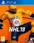 NHL 19 цена и информация | Datorspēles | 220.lv