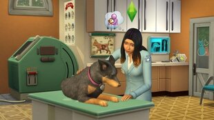 Игра для PlayStation 4, The Sims 4 + Cats and Dogs Bundle цена и информация | Компьютерные игры | 220.lv