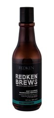 Atvēsinošs piparmētru šampūns vīriešiem Redken Brews 300 ml цена и информация | Шампуни | 220.lv