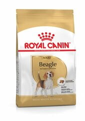 ROYAL CANIN Beagle adult, 12 kg цена и информация | Сухой корм для собак | 220.lv