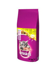 Whiskas Junior kaķiem ar vistas garšu, 14 kg цена и информация | Сухой корм для кошек | 220.lv