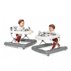 Staigulītis ar skaņām Babymoov Baby Walker 2in1 Zinc A040006 цена и информация | Ходунки | 220.lv