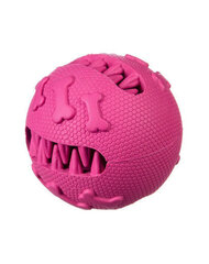 Barry King bumbiņa Dantys, rozā cena un informācija | Suņu rotaļlietas | 220.lv