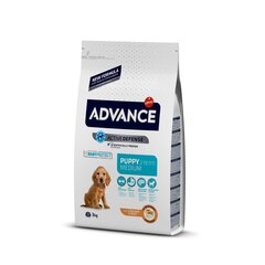 Advance Puppy Medium 3 kg цена и информация | Сухой корм для собак | 220.lv