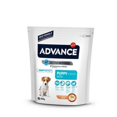 Advance Puppy Mini 0.8 kg cena un informācija | Sausā barība suņiem | 220.lv