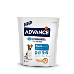 Advance Mini Adult 0.8 kg цена и информация | Сухой корм для собак | 220.lv