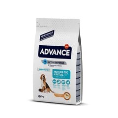 Advance Mother Dog & Initial 3 kg cena un informācija | Sausā barība suņiem | 220.lv