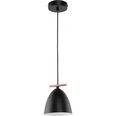 TK Lighting griestu lampa Aida Black 1