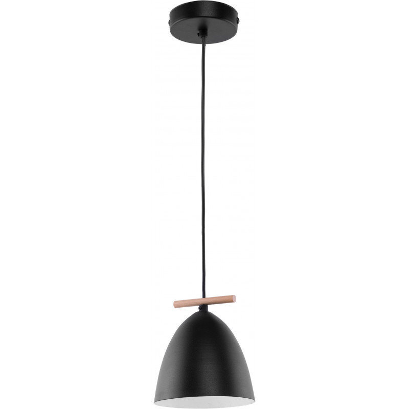 TK Lighting griestu lampa Aida Black 1 цена и информация | Piekaramās lampas | 220.lv