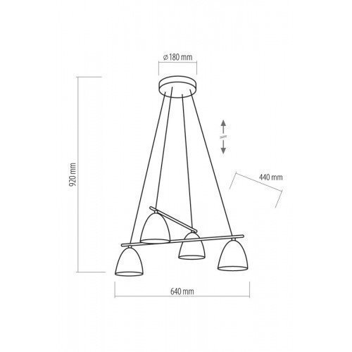 TK Lighting griestu lampa Aida Black 4 цена и информация | Piekaramās lampas | 220.lv