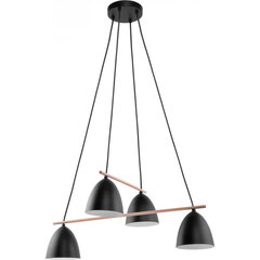 TK Lighting griestu lampa Aida Black 4 цена и информация | Настенный/подвесной светильник Eye Spot 11 BL, чёрный | 220.lv