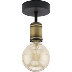 TK Lighting потолочная лампа Retro 1 цена и информация | Потолочный светильник | 220.lv