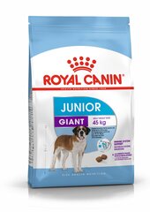 Royal Canin Giant Junior lielo suņu šķirņu kucēniem, 15 kg cena un informācija | Sausā barība suņiem | 220.lv