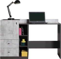 Письменный стол Tablo 9, серый цена и информация | Компьютерные, письменные столы | 220.lv