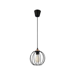 TK Lighting griestu lampa Galaxy 1644 cena un informācija | Lustras | 220.lv