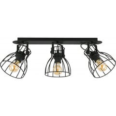 TK Lighting griestu lampa Alano Black 3 cena un informācija | Griestu lampas | 220.lv